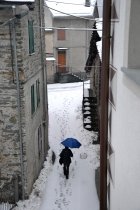 &quot;Vienišas praeivis&quot; Rita Būgienė